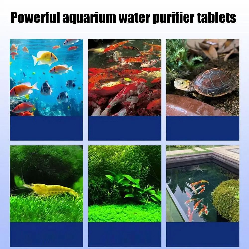Water Purification Tablet - Tablet Pemurni Air Ampuh Penghilang Bau