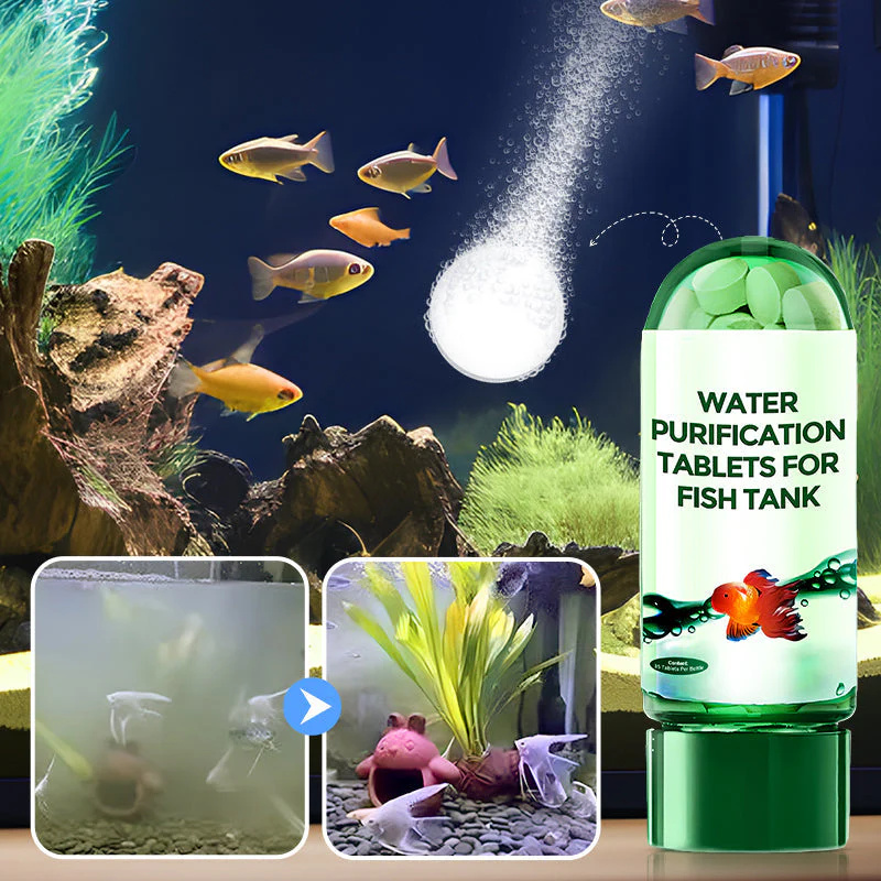 Tablet Pemurni Air Ramah Lingk - Water Purification Tablet ulasan dan harga